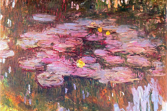 Water Lilies