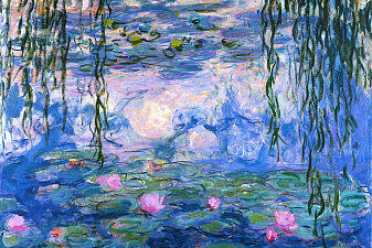 Water Lilies