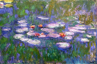 Water Lilies