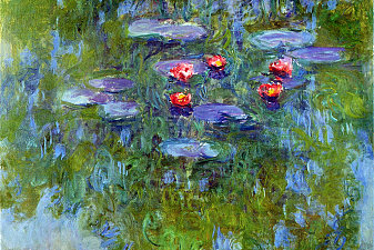 Water Lilies