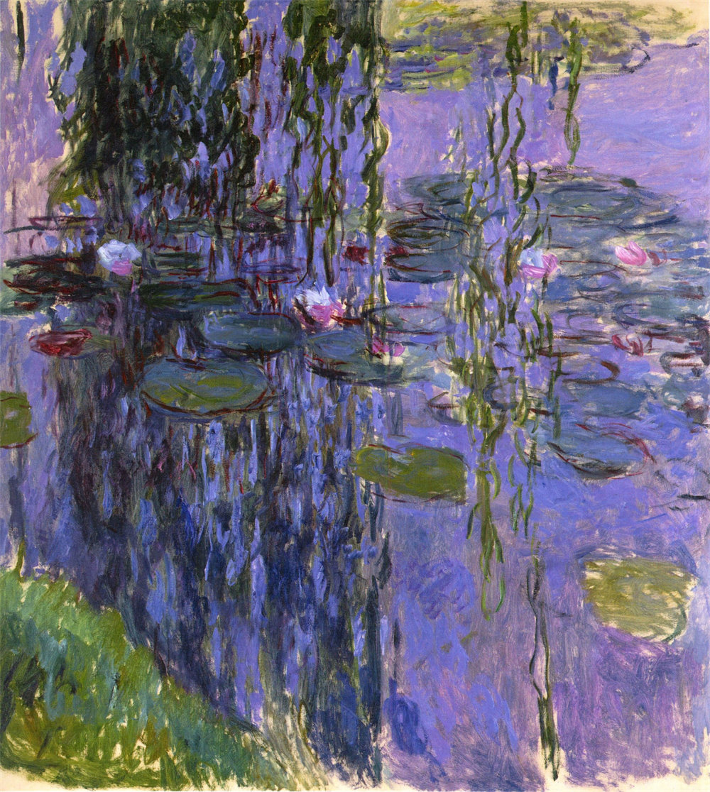 Water Lilies 