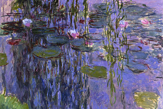 Water Lilies