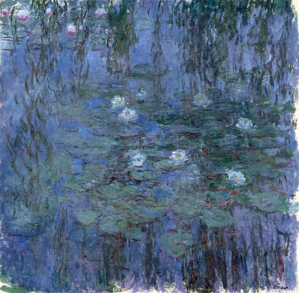 Water Lilies 