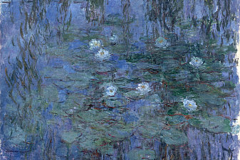 Water Lilies