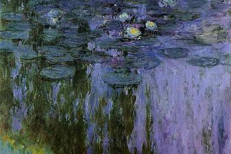 Water Lilies