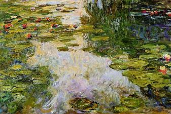 Water Lilies