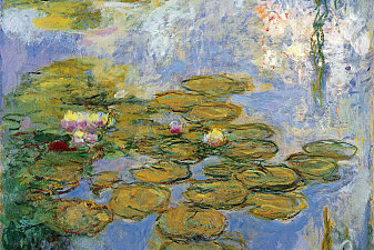 Water Lilies