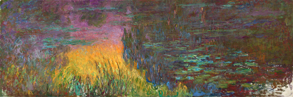 Water Lilies 