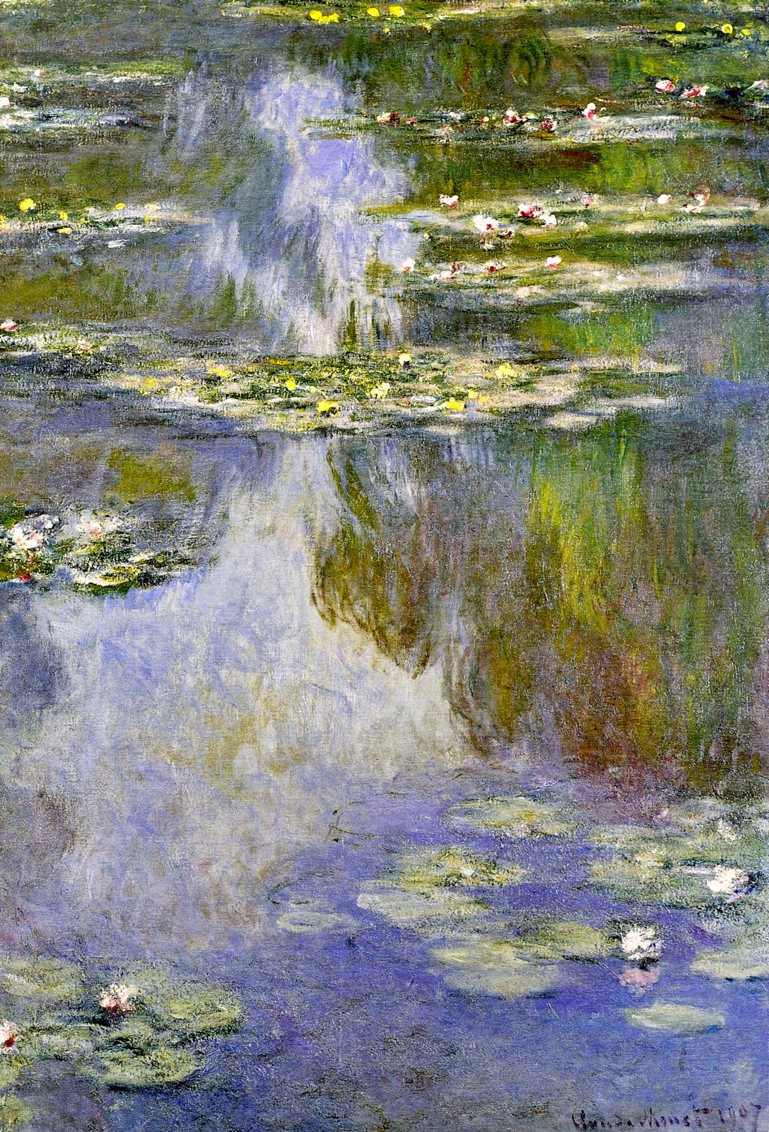 Water Lilies 