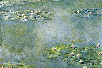 Water Lilies
