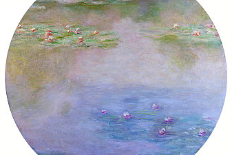 Water Lilies