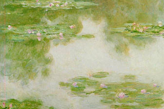 Water Lilies