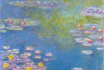 Water Lilies