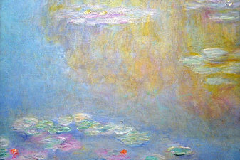 Water Lilies