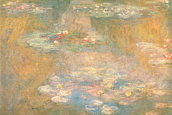 Water Lilies