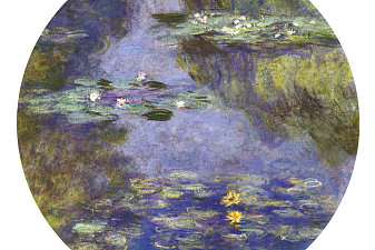 Water Lilies