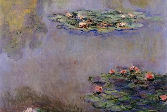 Water Lilies