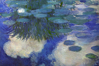 Water Lilies