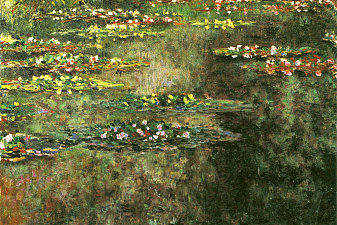 Water Lilies