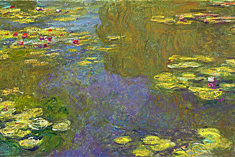Water Lilies