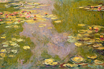 Water Lilies