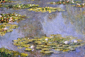 Water Lilies