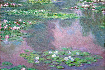 Water Lilies