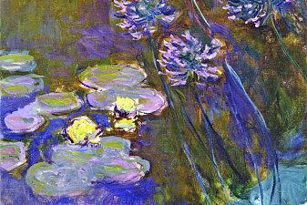 Water Lilies and Agapanthus