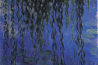 Water Lilies and Weeping Willow Branches