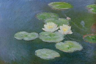 Water Lilies, Evening Effect