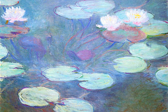 Water Lilies, Pink