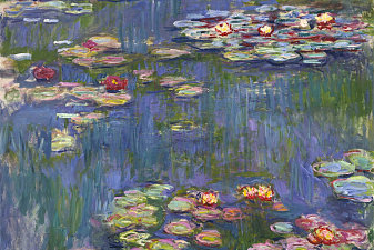 Water Lilies