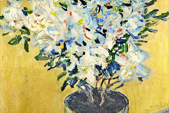 White Azaleas in a Pot