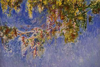 Wisteria