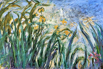 Yellow Irises and Malva