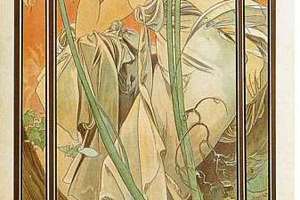 Evening Contemplation