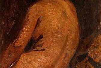 Female nude from back