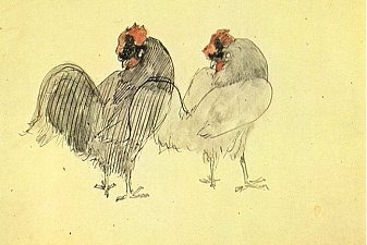 Two roosters