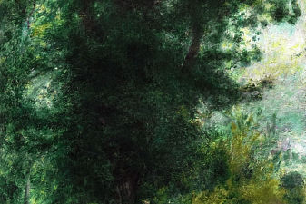 A Fence in the Forest