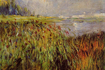 Bulrushes on the Banks of the Seine