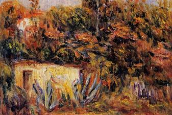 Cabin with Aloe Plants