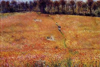 Path through the High Grass