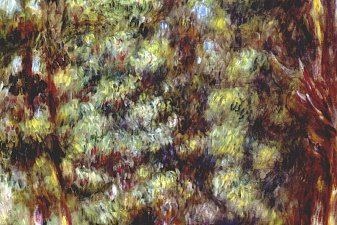 Path through the undergrowth