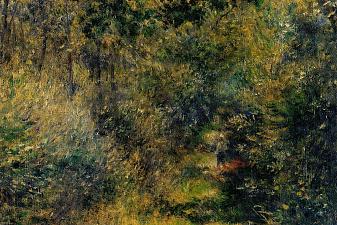 Path through the Woods