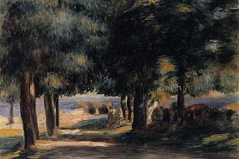 Pine Wood on the Cote d‘Azur