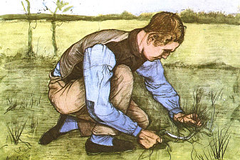 Boy Cutting Grass with a Sickle