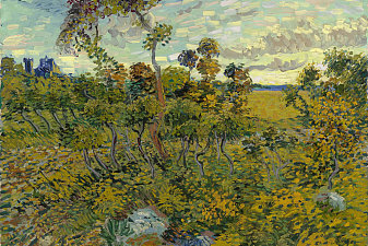 Sunset at Montmajour