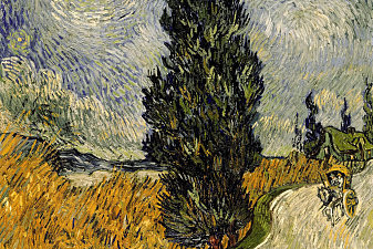 Country road in Provence by night