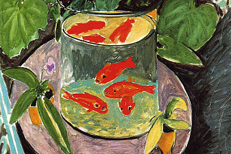 The Goldfish