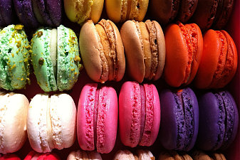 Cake Macaroon Multicolor